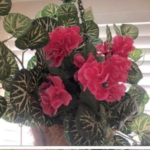 Planter hanging basket geranium NWOT